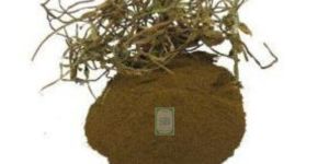 Centella Asiatica Powder