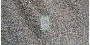 Centratherum Anthelminticum