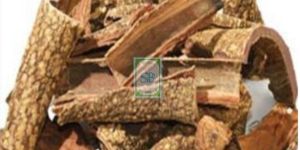 Dried Symplocos Racemosa