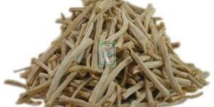 Dry Asparagus Racemosus Root