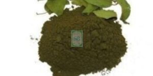 Gymnema Sylvestre Powder