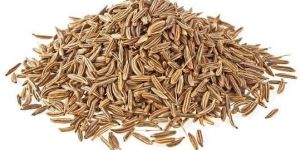 Cumin Seeds