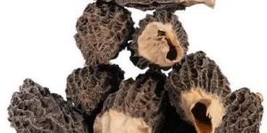 Dried Morel Mushroom
