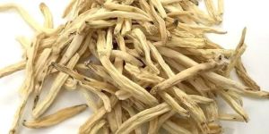 Dry Safed Musli Root