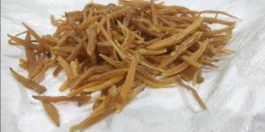 Dry Shatavari Root