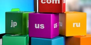 Domain Registration