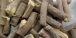 Brown Dried Giloy Stem