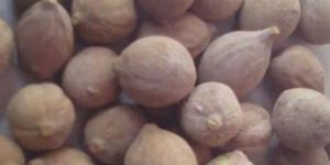 Natural Brown Baheda Fruit
