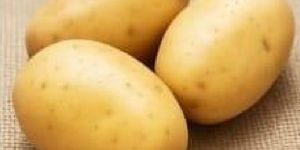 Chipsona Potato