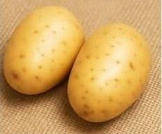 Hermes Potato