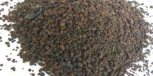 CTC Strong Assam Tea