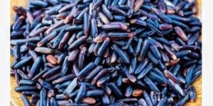 Organic Black Rice
