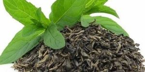 Organic Green Leaf Tea