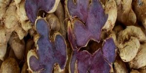 Raw Black Ginger Rhizome