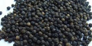 Raw Black Peppercorns