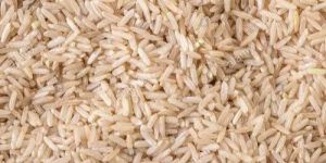 Unpolished Paddy Rice