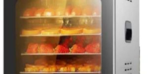 Fruit Vegetable Dehydrator for Home Use