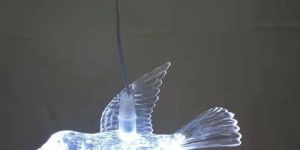LED Acrylic Bird Lights