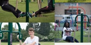 Outdoor Gym Single Twister