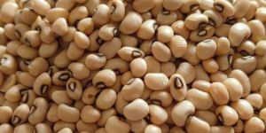 Brazil Lobia Beans