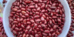 Disco Rajma Beans