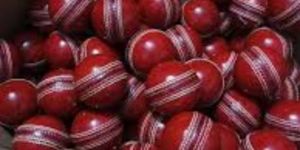 Cricket Leather Ball