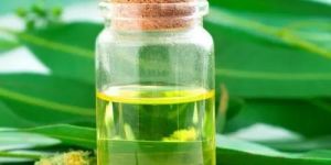 Eucalyptus Essential Oil