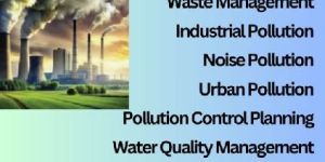 Research Analysis and Findings