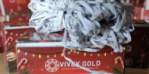 vg-16 model waterproof jharna light reflector