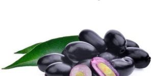 Frozen Jamun Slice