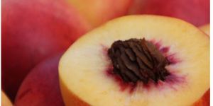 Frozen Peach Slice