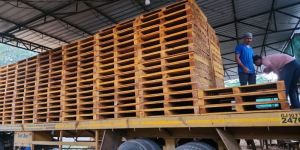 Two Way Wooden Pallets
