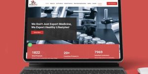 Wordpress Web Design Services