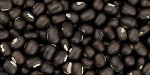 Whole Black Urad Dal