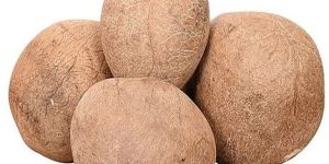 Whole Brown Dry Coconut