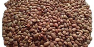 Whole Brown Kulthi Dal