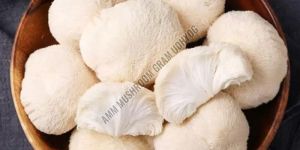 Fresh White Mushroom