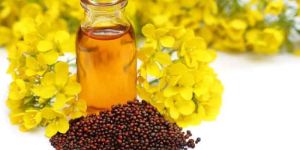 Expeller Pressed Black Mustard Oil