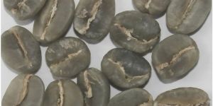 Arabica Plantation AA Green Coffee Beans