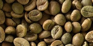 Robusta Cherry AA Green Coffee Beans