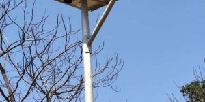 Solar LED Street Light