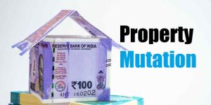 Property Tax Consultancy Service