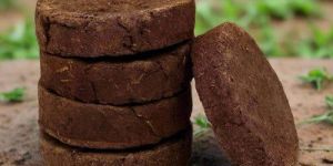 Cow Dung Cake