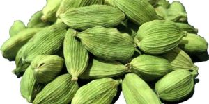Green Cardamom