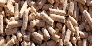 Cattle Feed Supplement