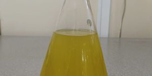 Phosphate Solubilizing Bacteria (Psb)