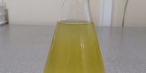 Potash Mobilizing Bacteria Biofertilizer (Kmb)