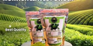 Moringa Leaves Powder