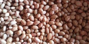 Raw Peanut