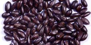 Dried Brown Custard Apple Seeds